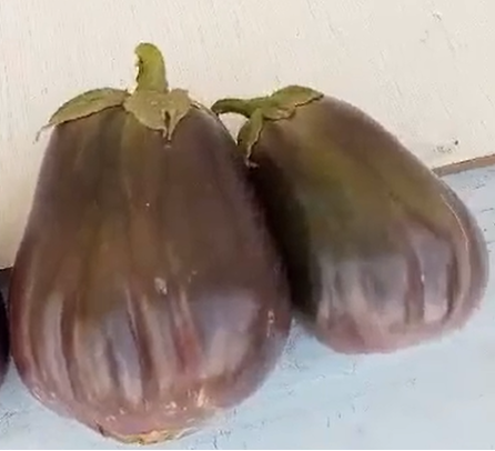 Aubergines